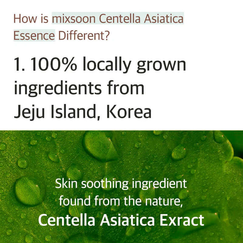 mixsoon Soondy Centella Asiatica Essence 100ml - HaisonSkin