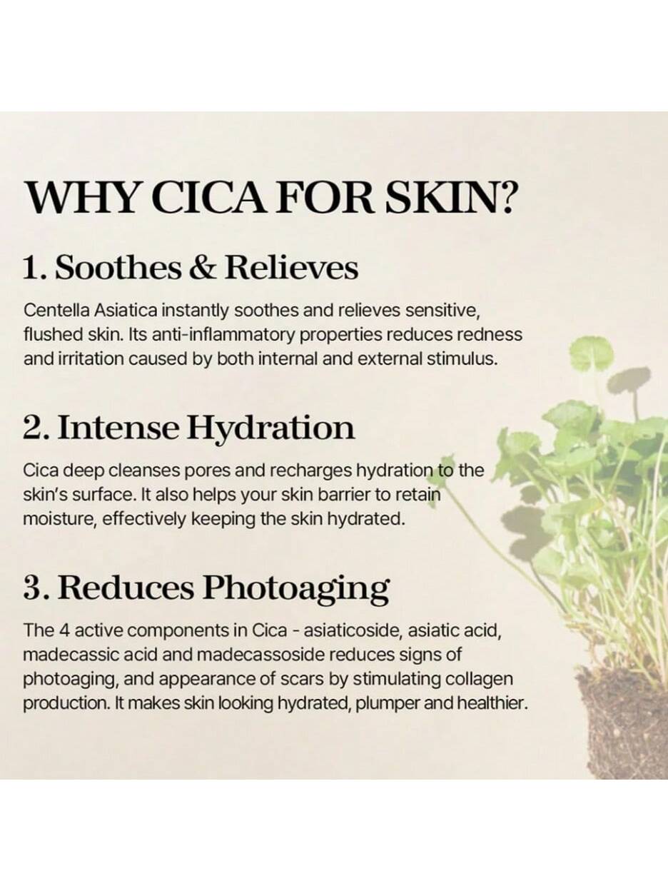 Mixsoon Soondy Centella Asiatica Essence – Minimalist, 100% Centella Extract Essence for Hydration & Redness Relief (100 ml) - HaisonSkin