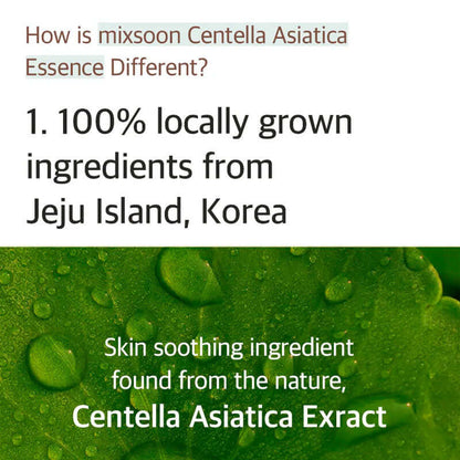 mixsoon Soondy Centella Asiatica Essence 100ml - HaisonSkin